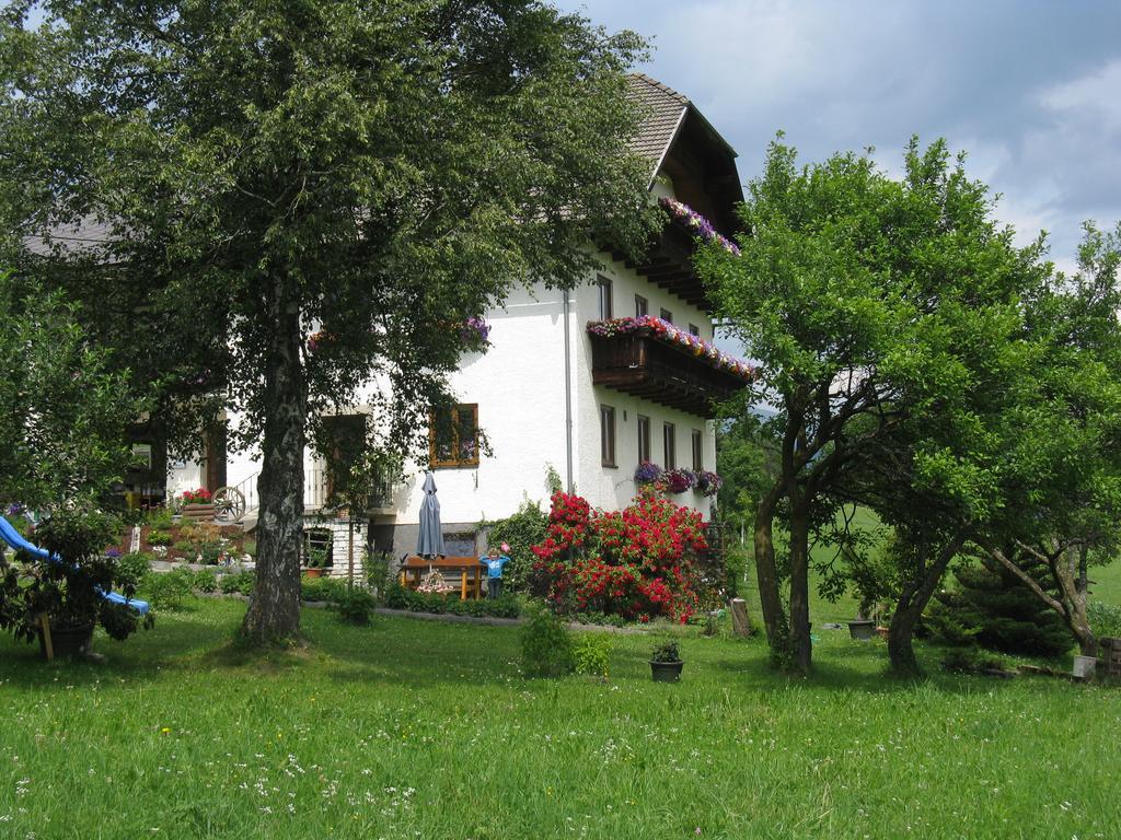 Haus Pfarrkirchner Apartment Mauterndorf  Luaran gambar